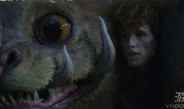 神奇动物2在线观看,格林德沃之罪在线观影指南：揭秘魔法世界的奇幻续集