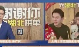 秀才合作伙伴爆料视频播放,揭秘幕后的精彩瞬间